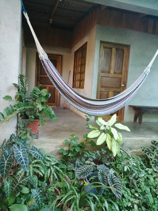 Espacios habilitados con hamacas.