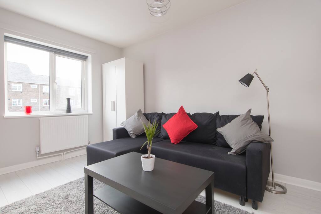 White Oak laminate flooring throughout with designer details throughout