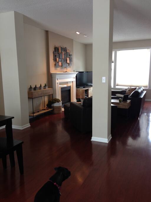 Living room, also finished basement with TV and sectional.
