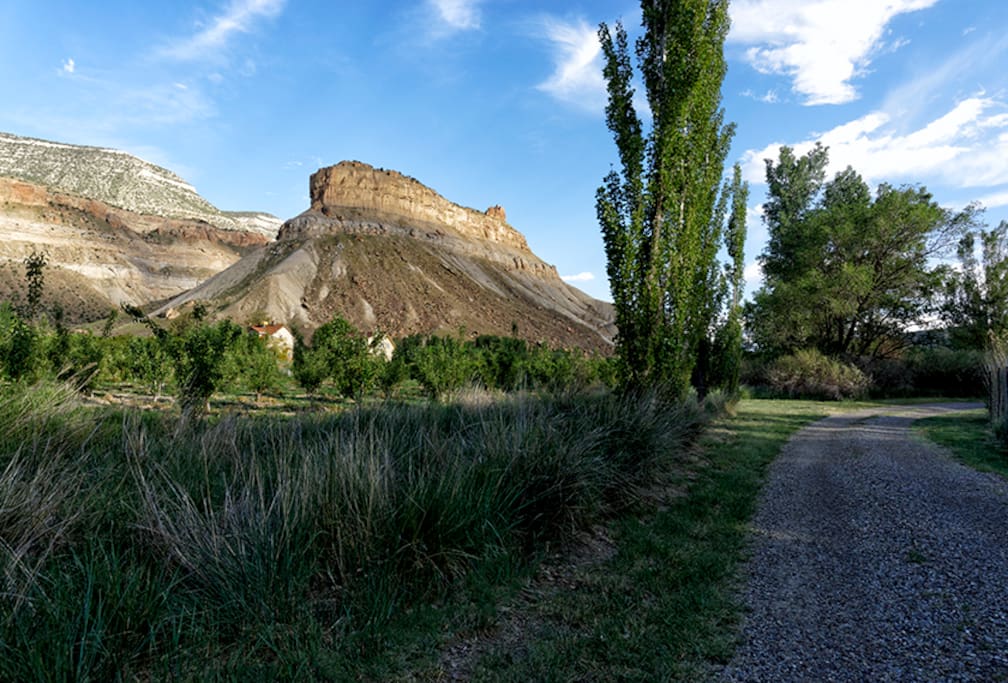 Palisade Casita Bungalows for Rent in Palisade, Colorado, United States