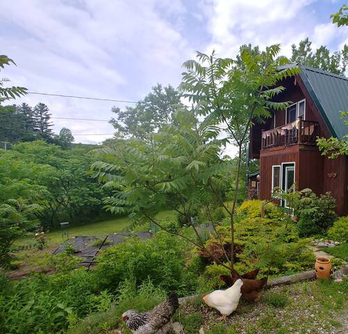 Vermont Cozy Hollow