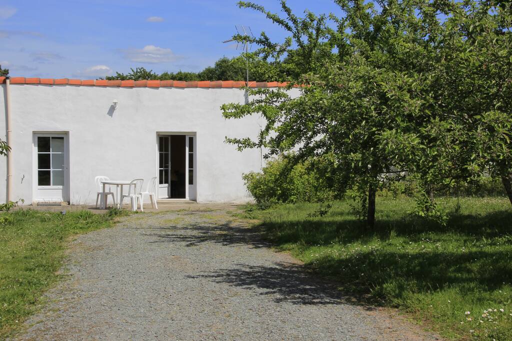 Le jardin et sa terrasse