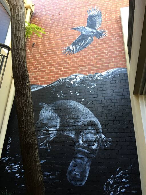 Our resident platypus and kookaburra will be there to greet you as you walk into our front courtyard.