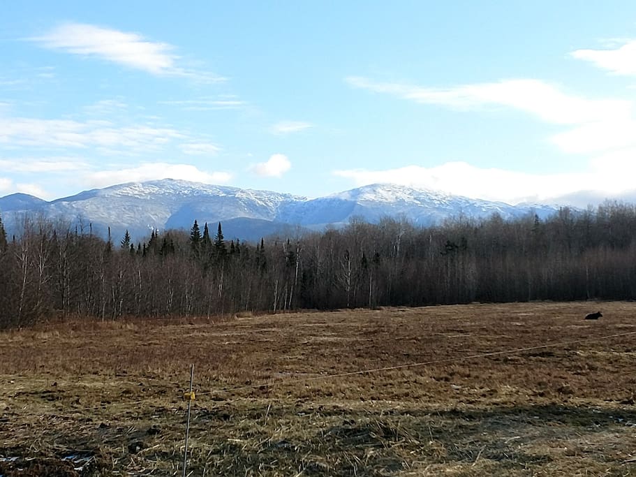 view of Mt. Washington & Northern Presidentials