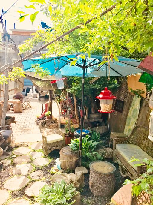 relax and watch the birds
