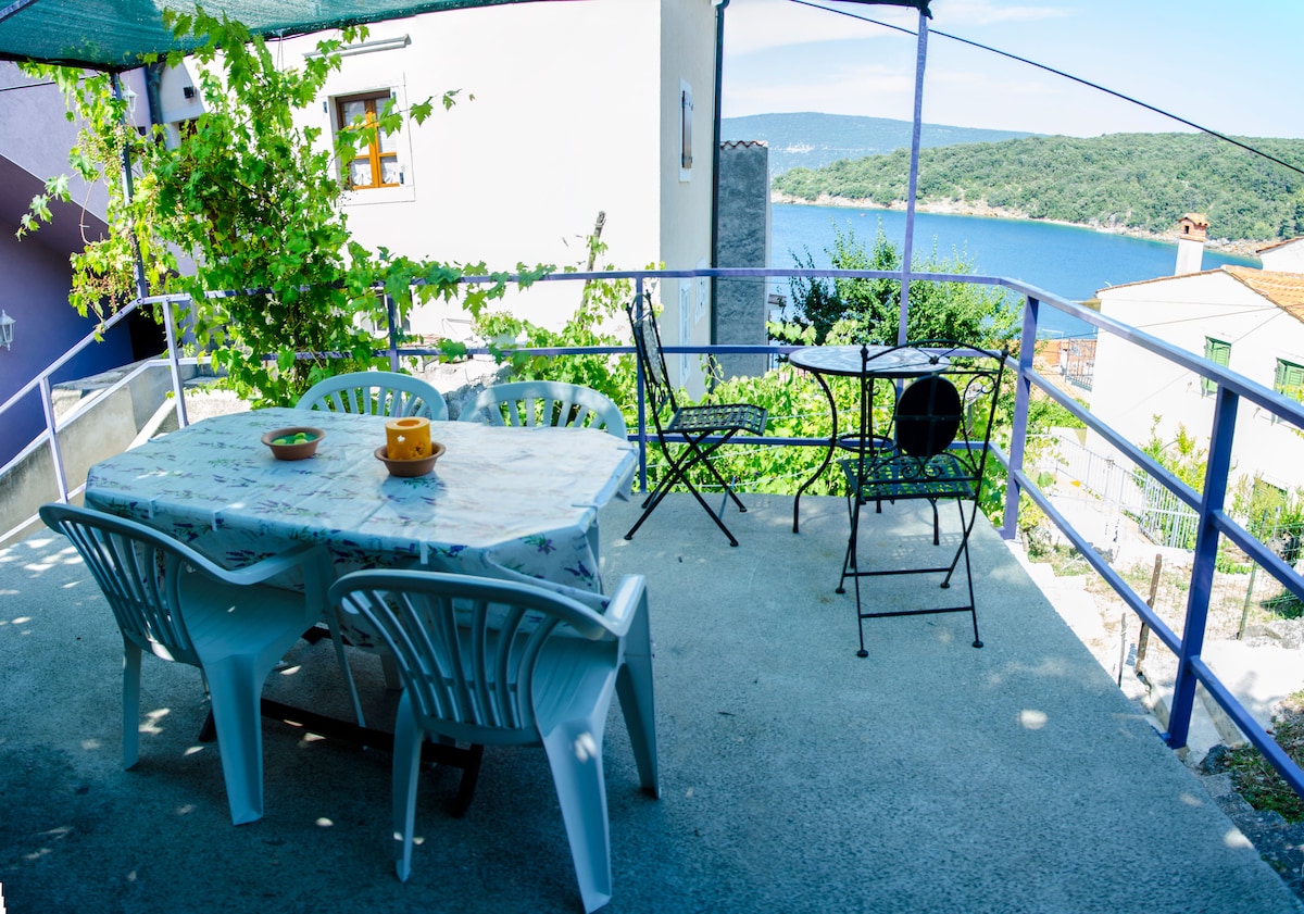 A spacious terrace is featured with a table and multiple chairs, offering a clear view of the nearby water. A canopy provides shade from the sun, while greenery enhances the outdoor space. The tranquil environment invites relaxation and enjoyment of the scenery.