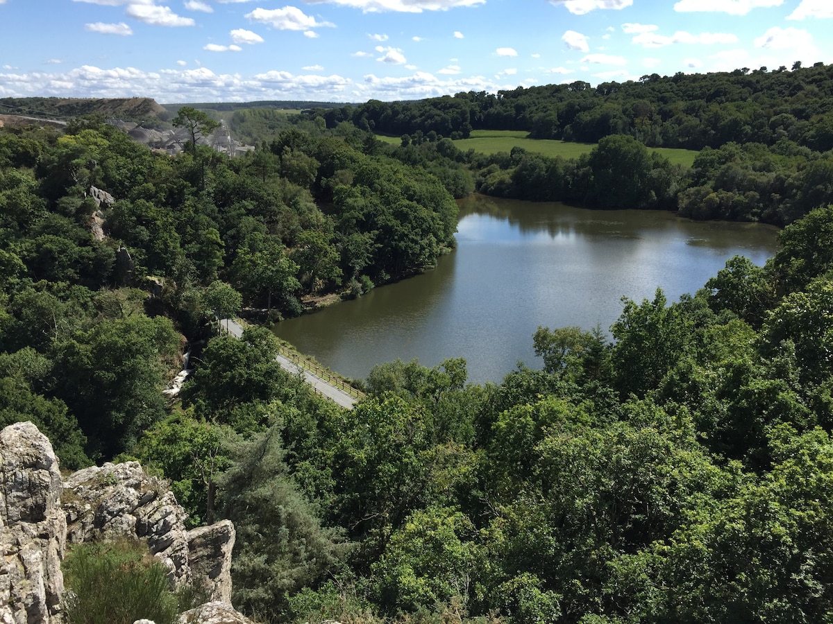 A serene view of a tranquil lake surrounded by lush greenery. Rolling hills in the background complement the vibrant tree canopy, with a clear blue sky above. A winding path can be seen leading alongside the water, enhancing the natural landscape.