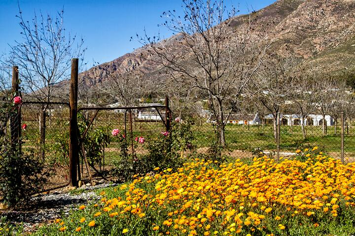 Wijnberg Cottage In Heart Of Montagu Bungalows For Rent In