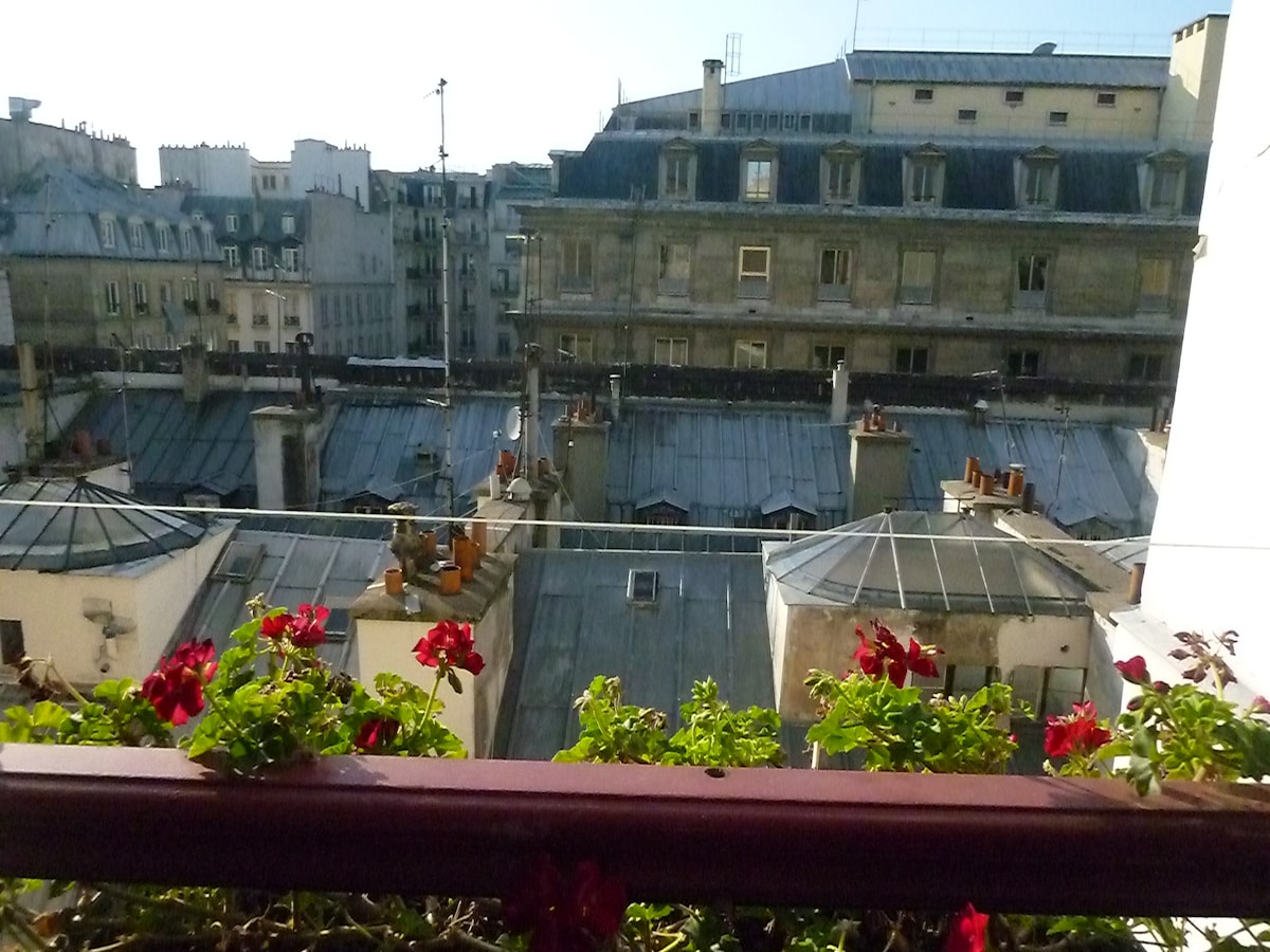 A view from the balcony showcases Parisian rooftops, featuring a mix of flat and sloped profiles. Potted geraniums add vibrant red color to the scene, contrasting with the muted tones of the buildings. The atmosphere suggests a charming urban environment.
