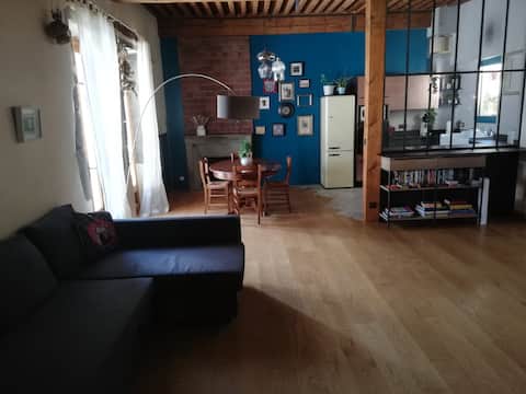 Airbnb performant: 60 m2 apartment in the historic center à Chambéry