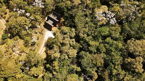 Nature Cabin: Peaceful & Luxury