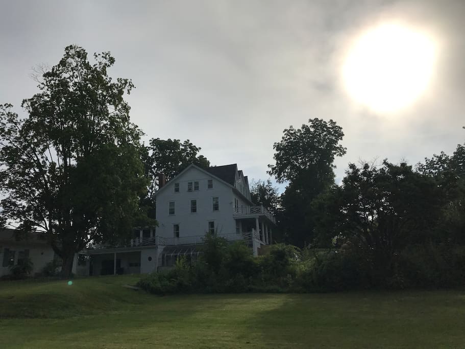 Summer morning at the Roxy.