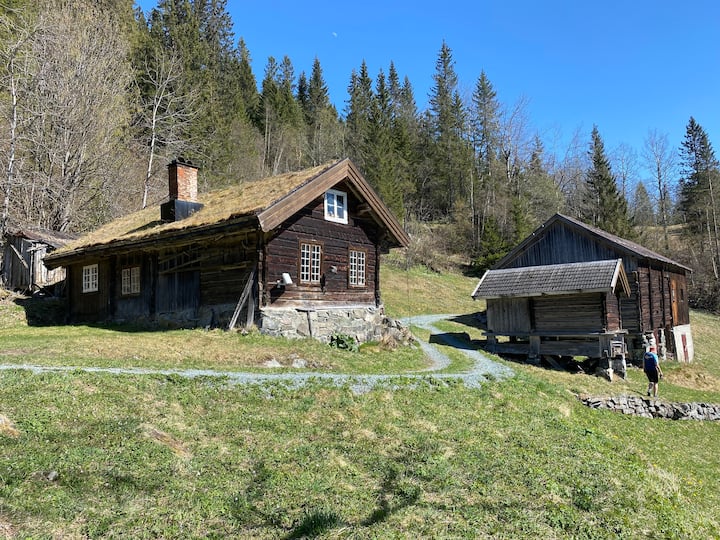 Image 1