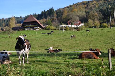 124 m² apartment on a farm in the Black Forest