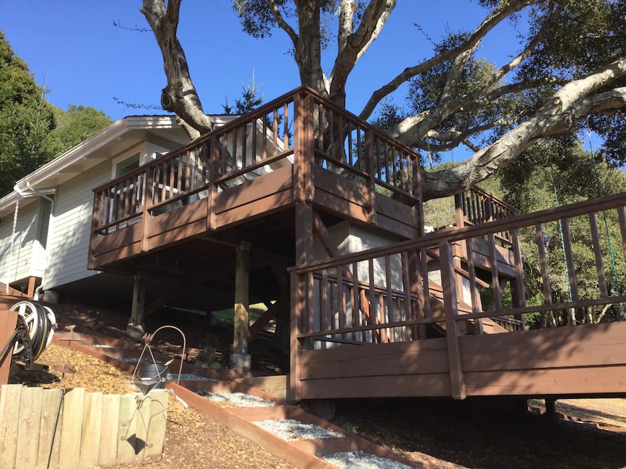 Aptos Treehouse Tiny houses for Rent in Aptos, California, United States Aptos Treehouse Tiny houses for Rent in Aptos, California, United States