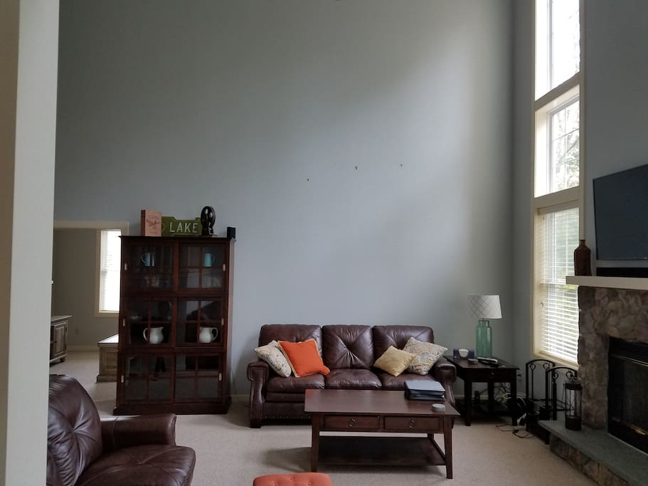 Living room with pull out couch