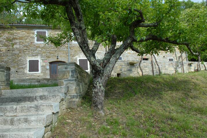 Nature, peace  in the central Istria .