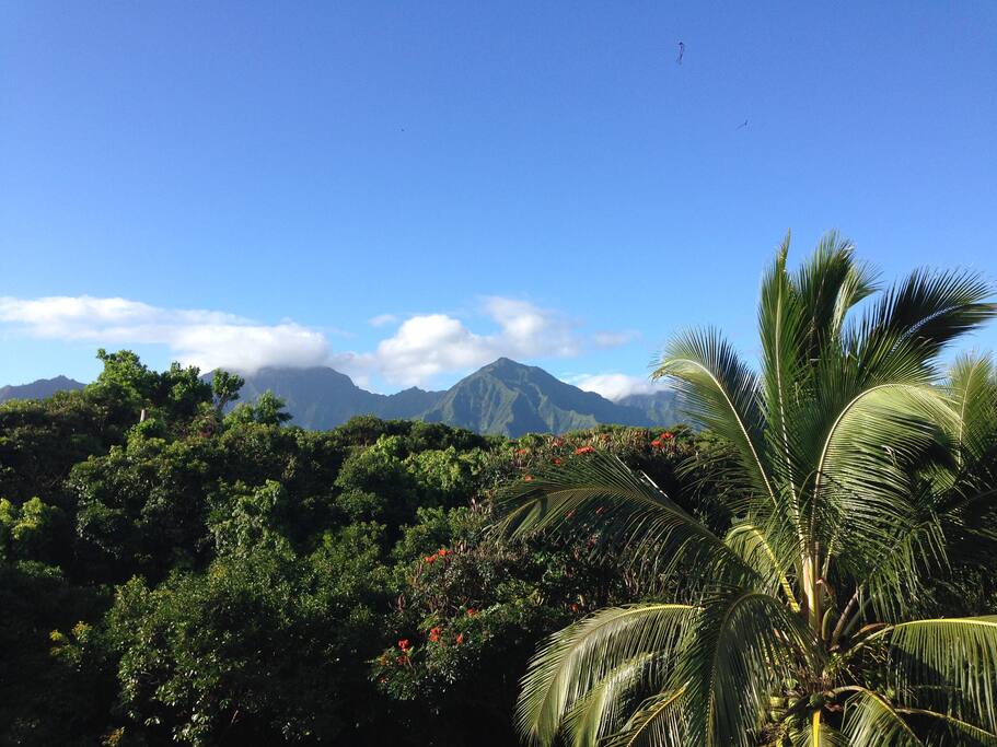 View from Lanai!