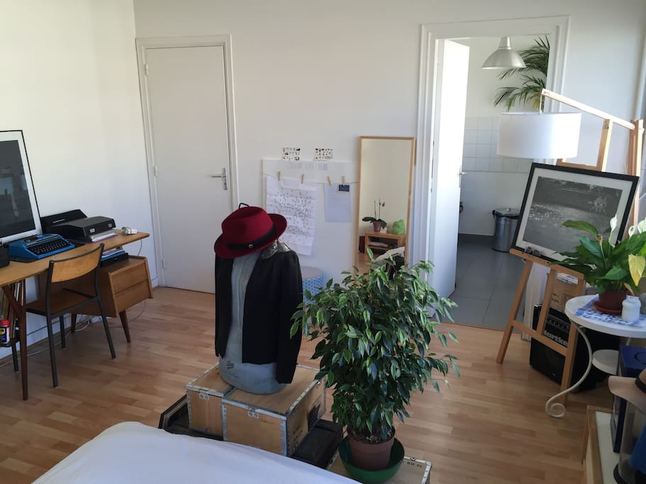 a cosy parisian flat