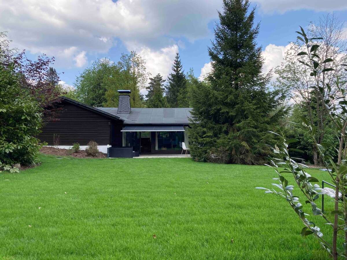 A dark wooden chalet is nestled among lush greenery, with a gently sloping lawn leading towards it. Tall trees flank the property, providing a sense of privacy. The modern structure features a large glass wall, allowing natural light to illuminate the interior.
