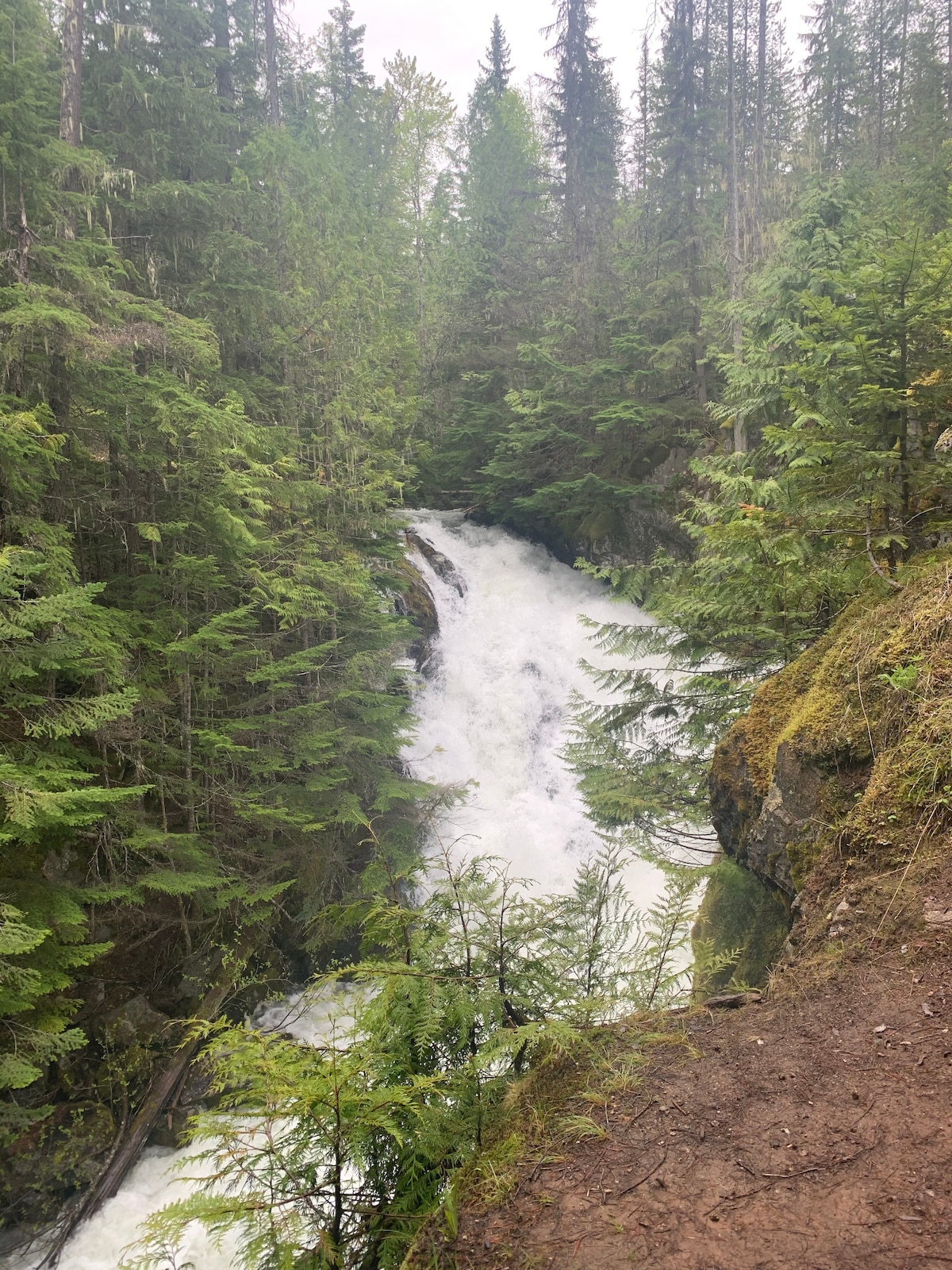 A flowing waterfall cascades over rocky terrain, surrounded by dense green foliage. Towering trees frame the scene, creating a natural boundary. Water churns energetically, contrasting against the earthy tones of the ground and rocks, while mist rises gently from the falling water.