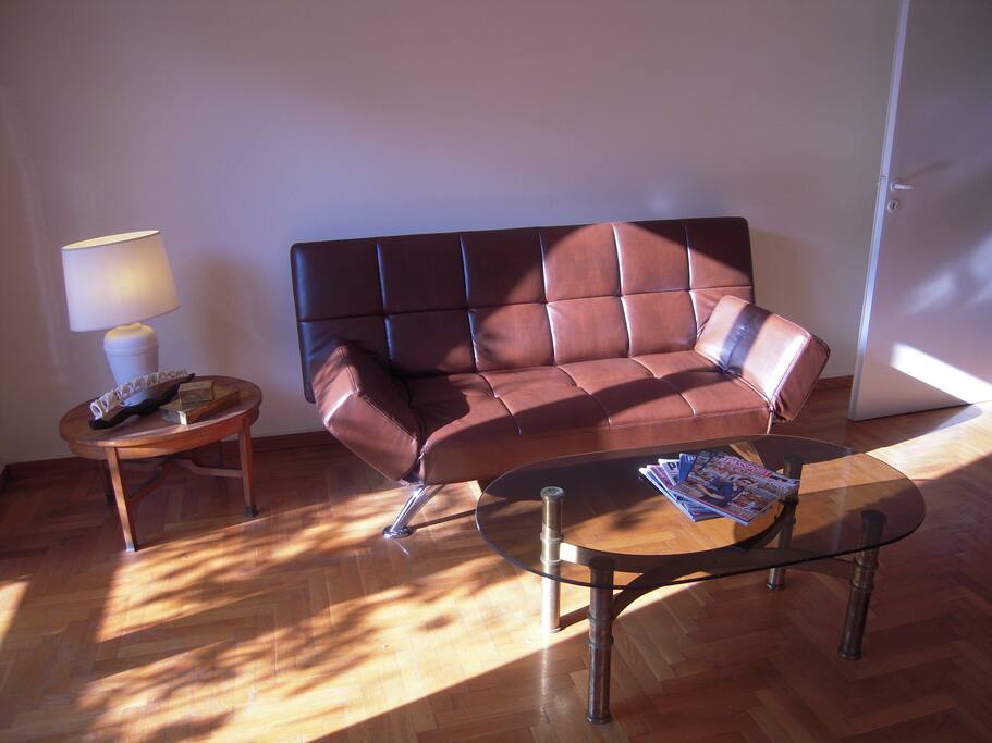 luminous living room with sofa-bed