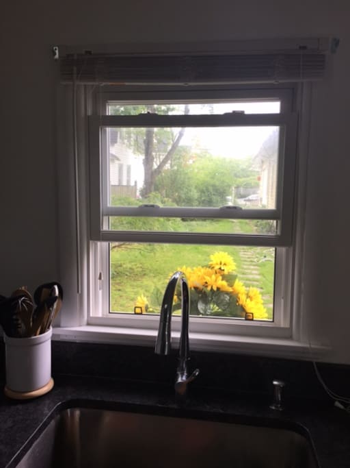 View from the kitchen sink