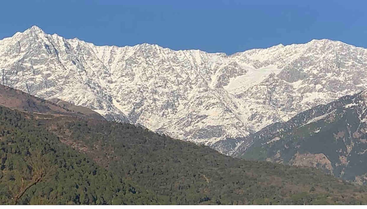 A panoramic view of the snow-capped Dhauladhar mountain range is presented against a clear blue sky. The slopes are covered in green foliage, leading up to the majestic peaks, creating a striking contrast with the bright white snow.