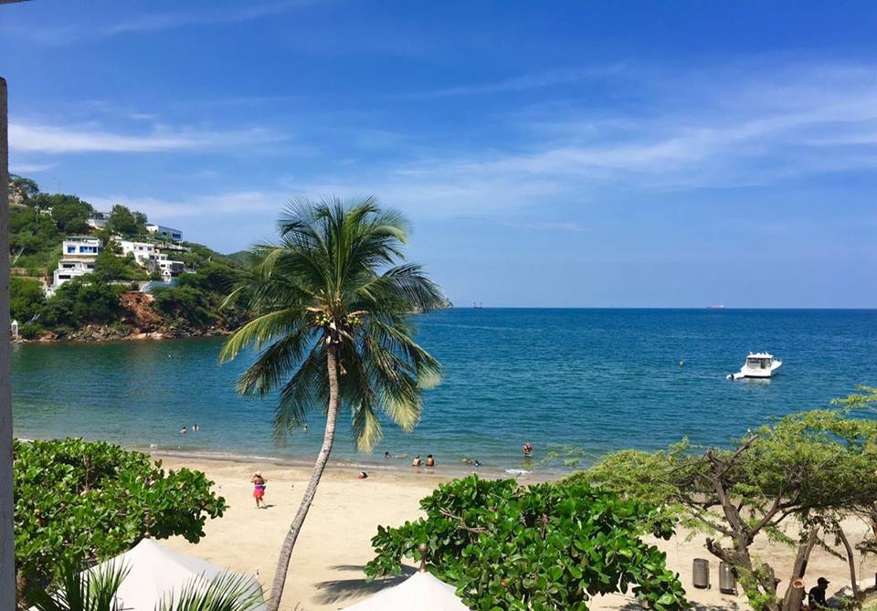 A serene beach scene features soft golden sand and calm turquoise waters. A single palm tree sways gently in the foreground, providing a touch of greenery. Light clouds drift in a bright blue sky, while small boats can be seen in the distance, completing the tranquil coastal landscape.