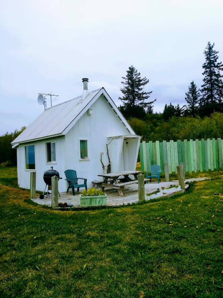 13 Best Airbnb Vacation Rentals In Homer, Alaska Updated 2024 Trip101
