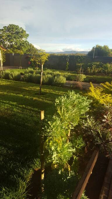 the grounds, ideal for picnic