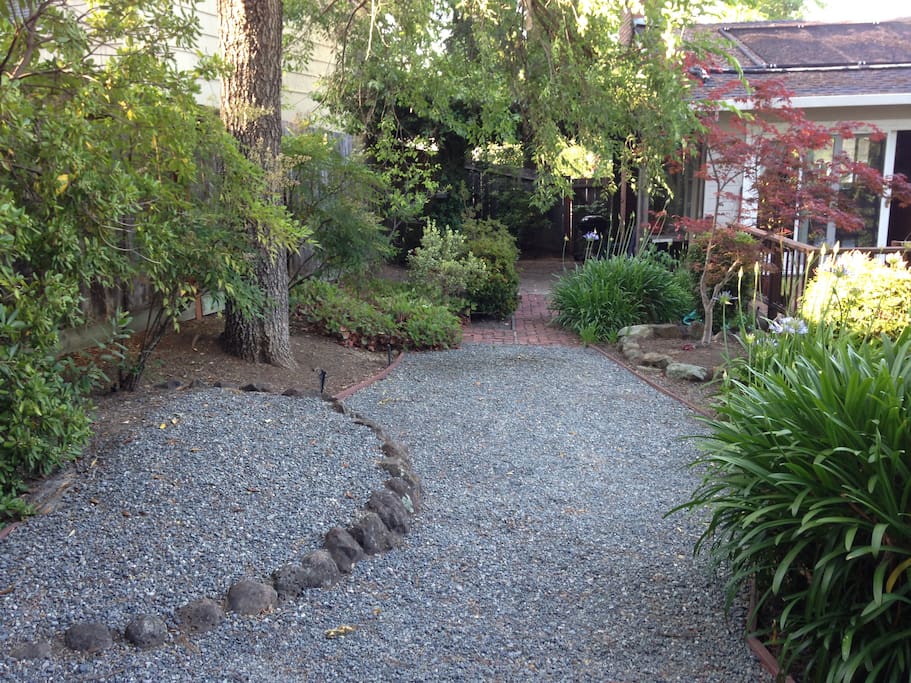 backyard and garden