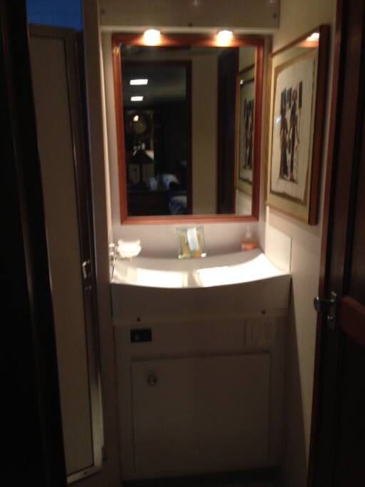 Starboard Bathroom Sink