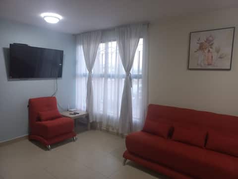 Successful Airbnb property: Comfortable and beautiful apartment in Venustiano Carranza