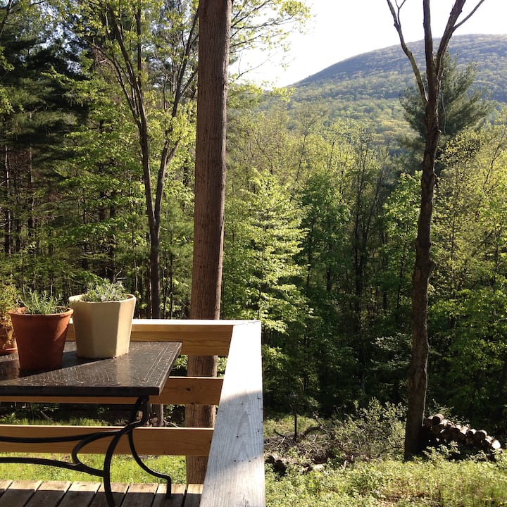 Private Retreat in the Woods Houses for Rent in Phoenicia, New York