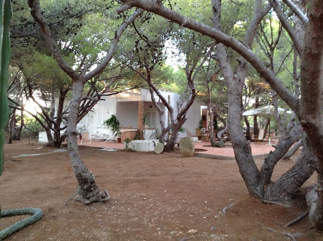 listing_image