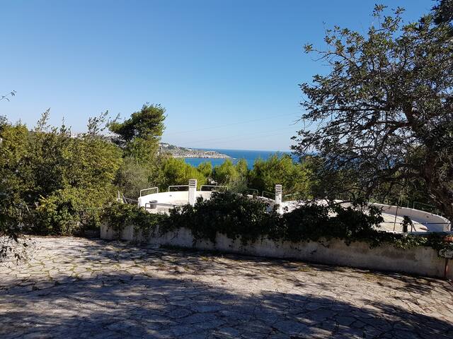 Castro Salento Villa in villaggio esclusivo gallery image 3