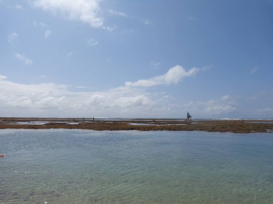 Trecho de mar a 2 quadras de distancia do apartamento. Piscinas naturais a cerca de 05 minutos caminhando.