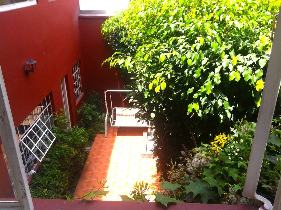 Jardin