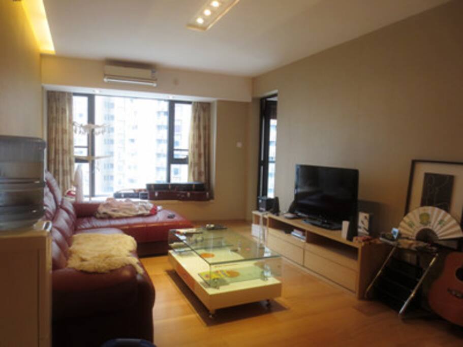 Living Room Area