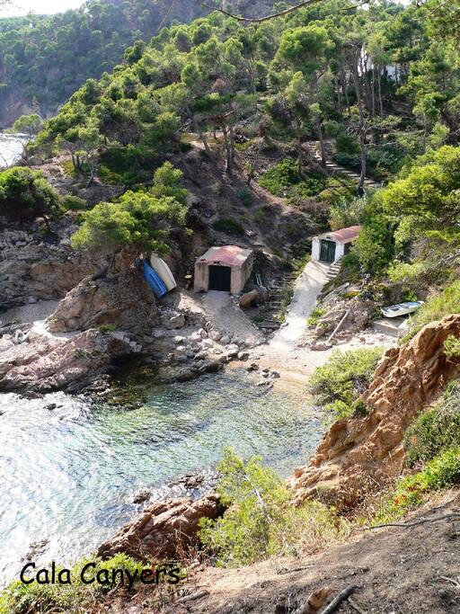 notre crique préférée pour snorkelling