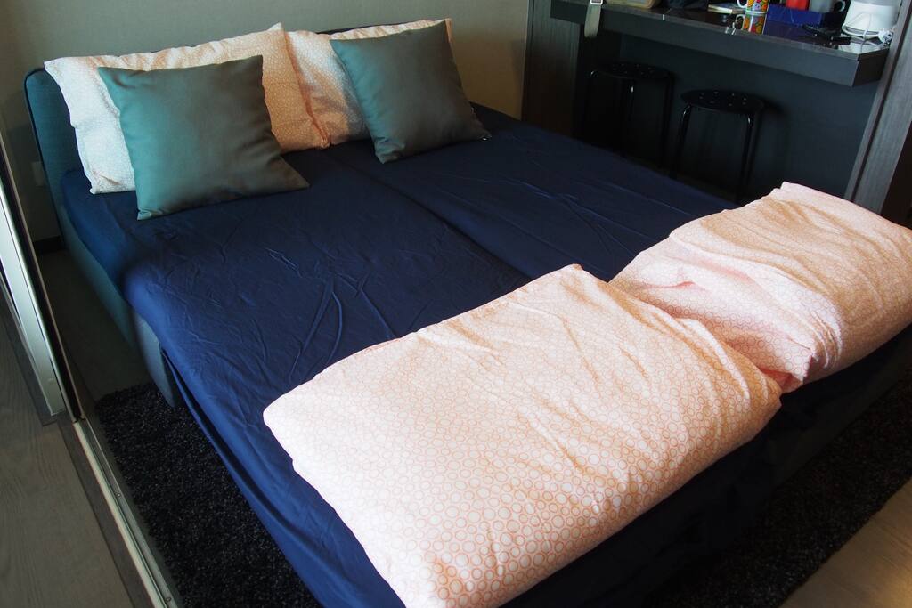 Sofa Bed For2Guest