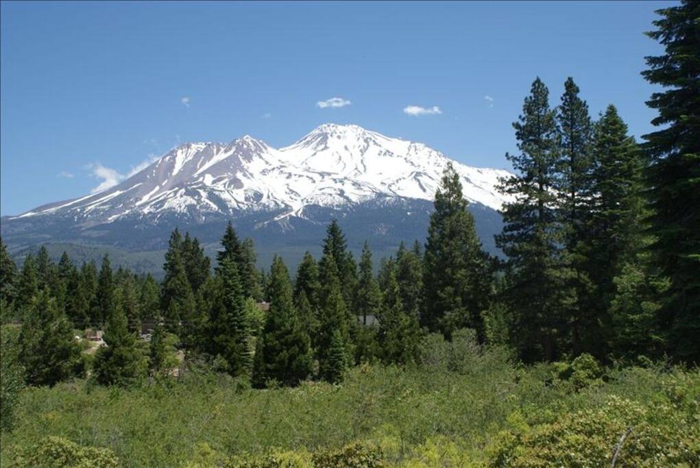 View of Mt. Shasta