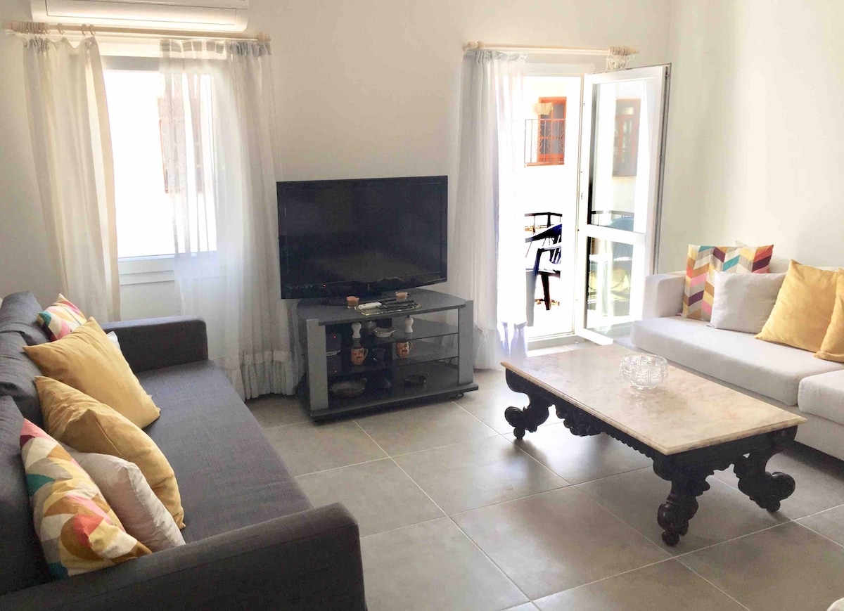 The living area is designed with a gray sofa and a light-colored couch, complemented by colorful accent pillows. A wooden coffee table stands in the center, with a television on a glass stand nearby. Natural light enters through large windows with sheer curtains.