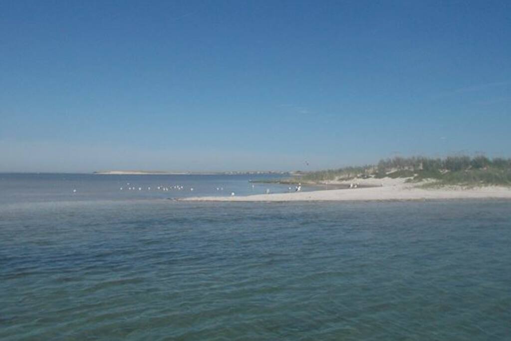 Rent Room Center Moriches Rent Room Center Moriches