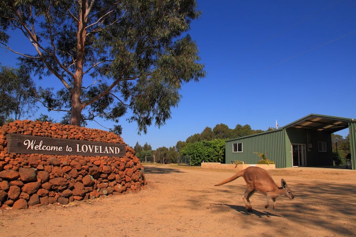 Wake up to Kangaroos at your door.