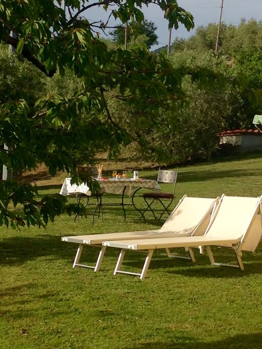 relax zone for our guests