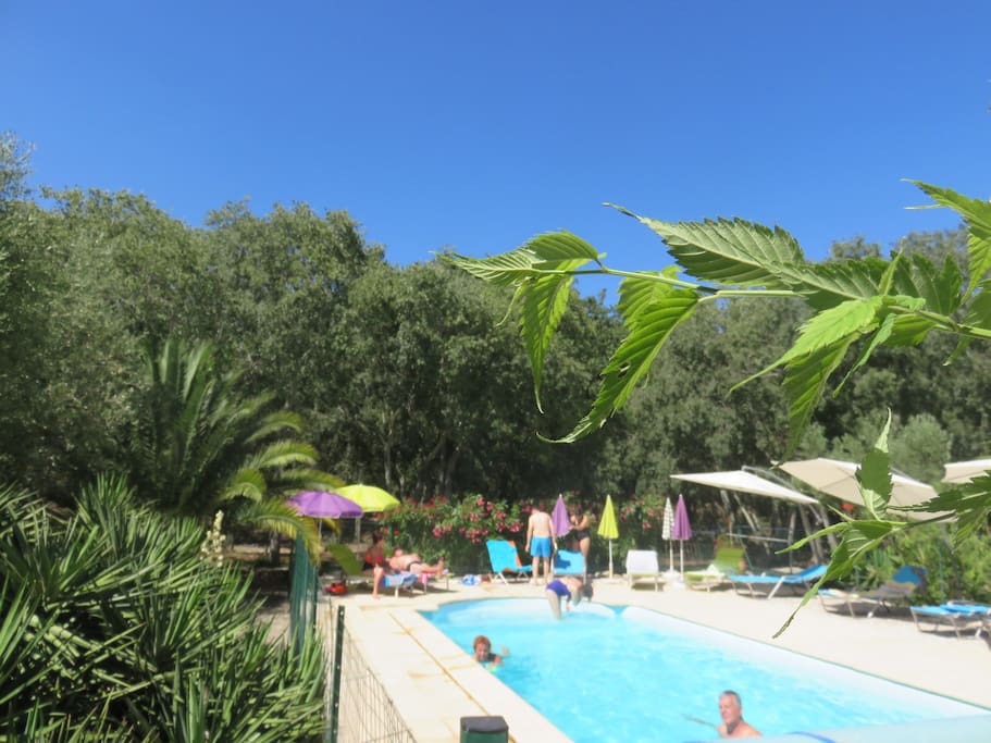 piscine chauffée