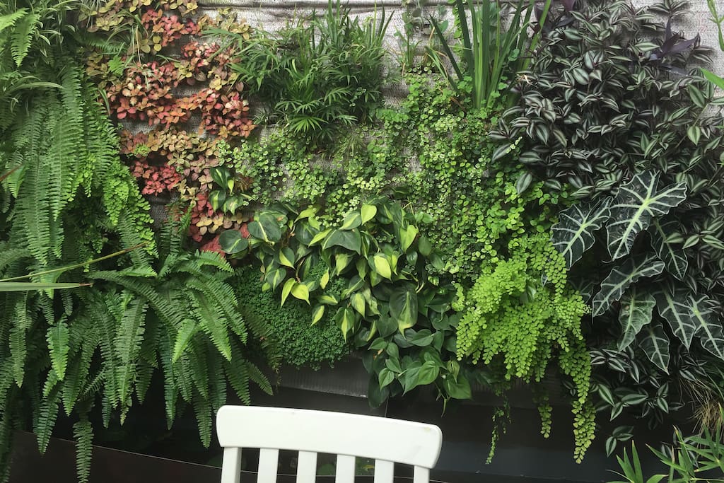 A Vertical garden! the new host in the house