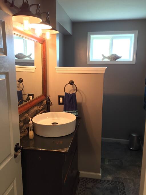 Lower Level Luxury Bathroom